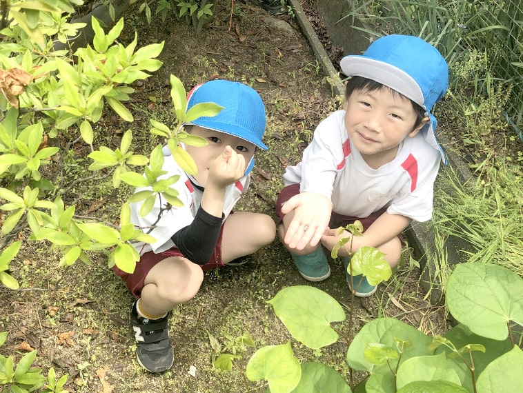 自然の中にいる園児の写真