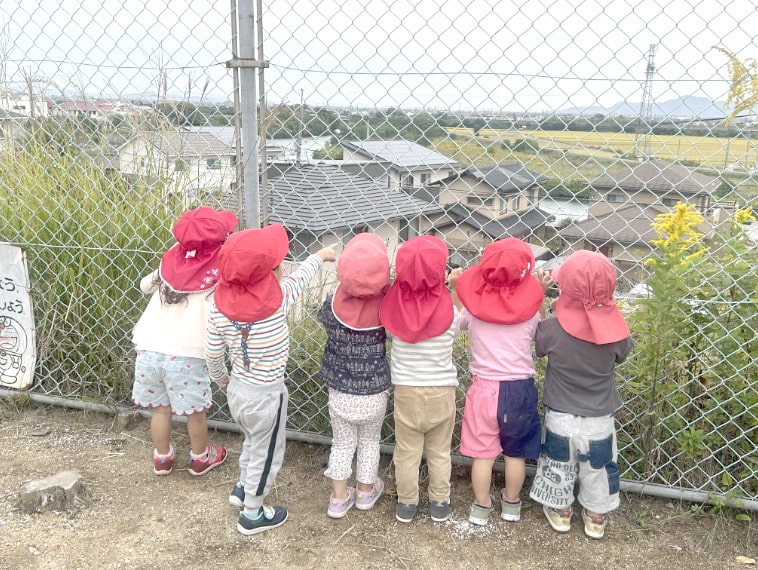 フェンスの向こうを見る園児の写真