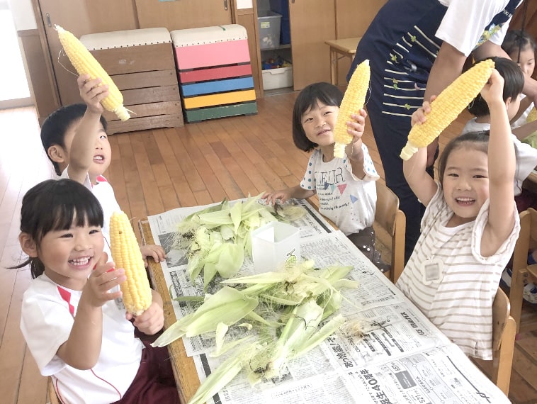 とうもろこしを持つ園児の写真