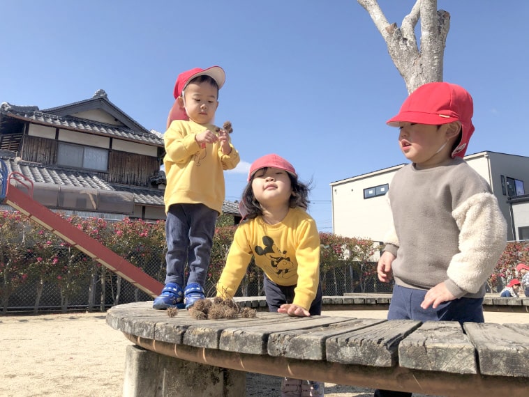 松ぼっくりを集める園児の写真