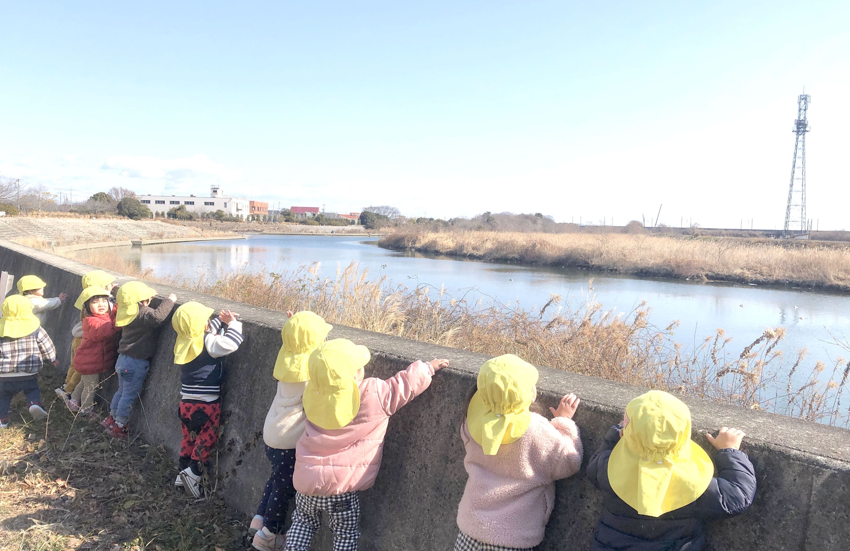 川を見る園児の写真