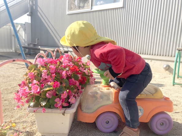 花の香りを嗅ぐ園児の写真