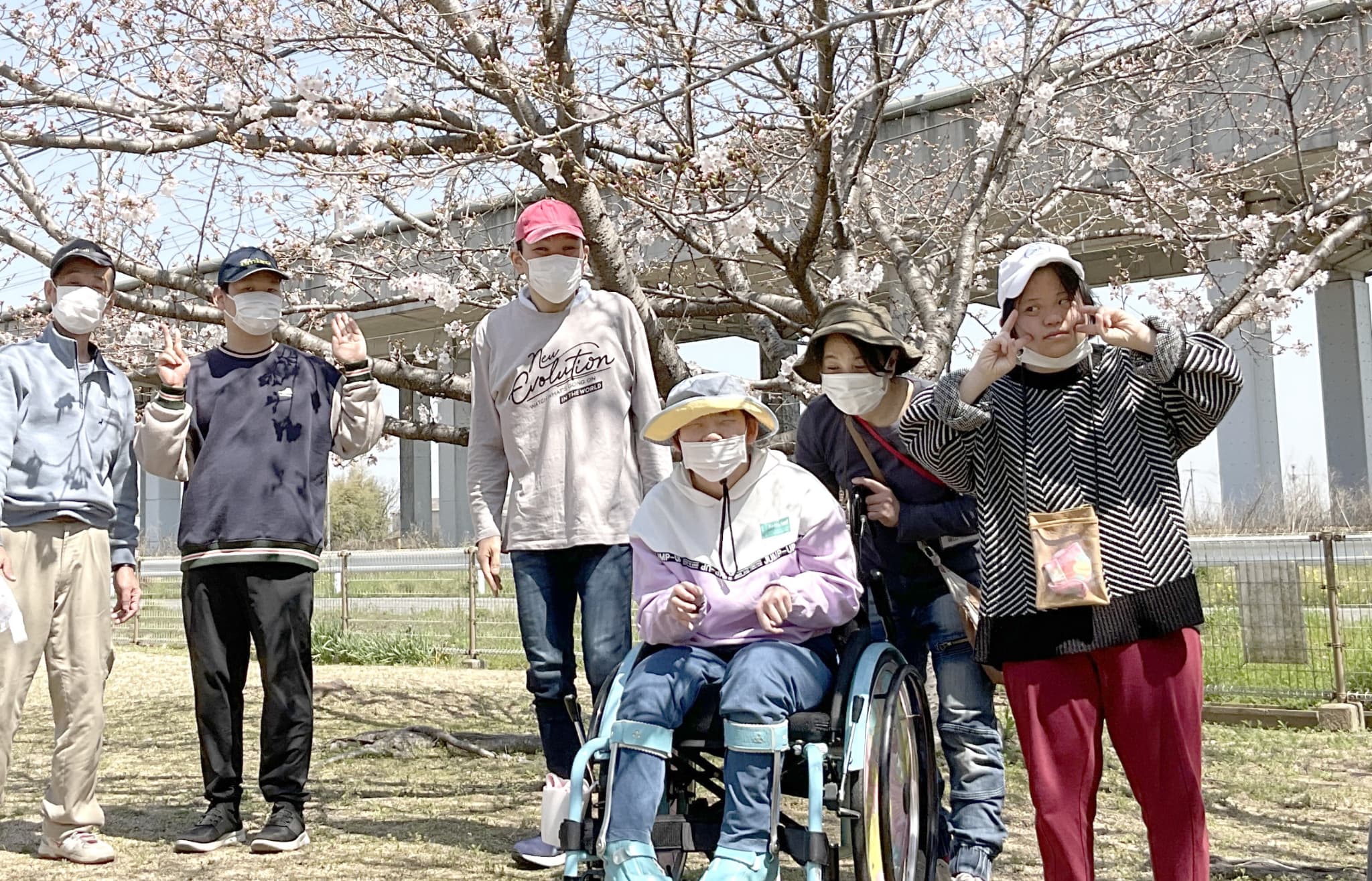 桜の木の下で集まっている写真