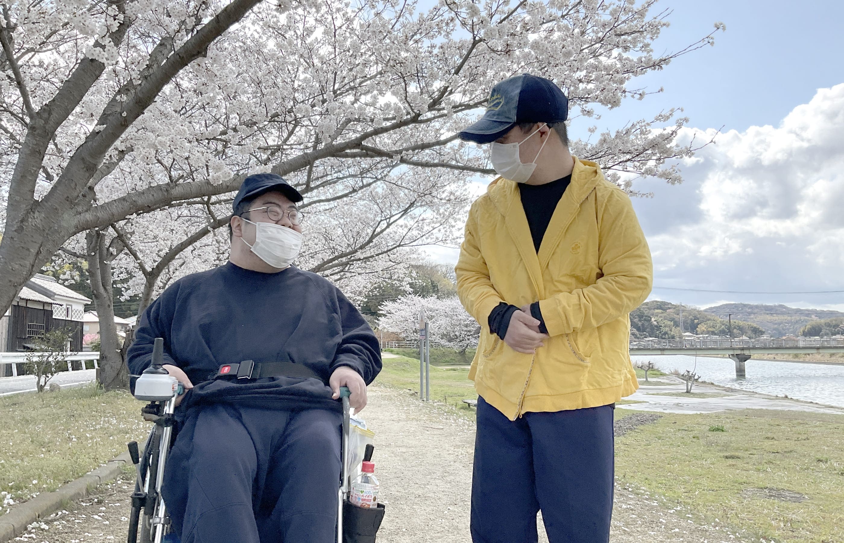 桜並木で笑っている写真
