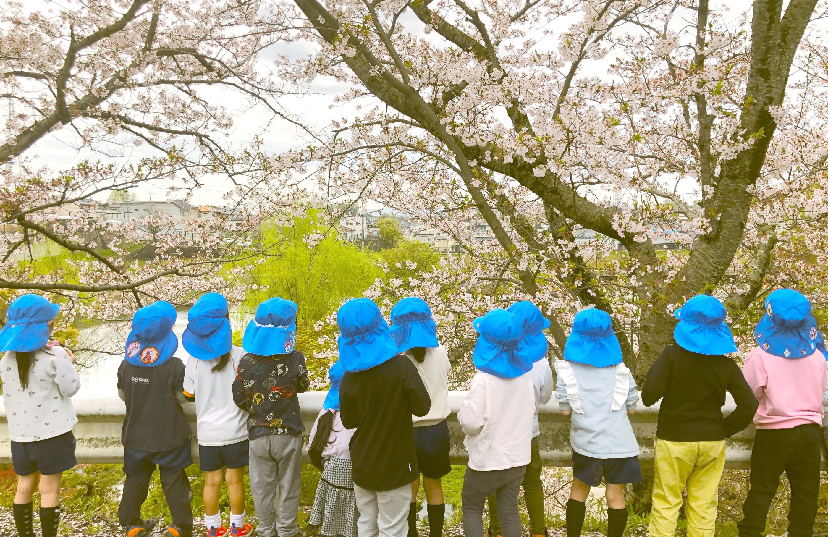 お花見している子どもたち