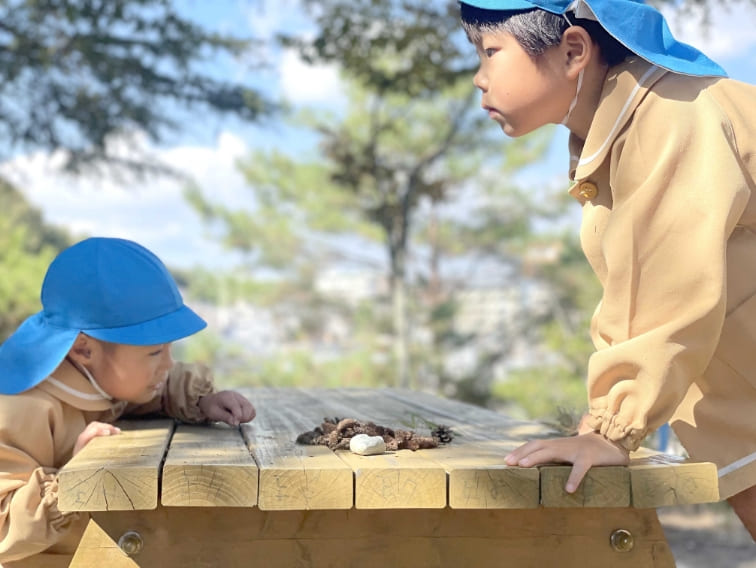 集めた松ぼっくりを見る園児の写真