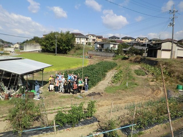 この農場で大豆を育てています。